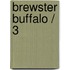 Brewster Buffalo / 3