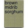 Brown midrib sorghum door Srinivasa Rao P