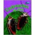 Cockroaches Up Close