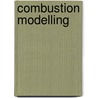 Combustion Modelling by Chen Huang