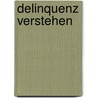Delinquenz Verstehen by Lydia Respondeck