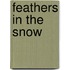 Feathers in the Snow