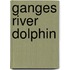 Ganges River Dolphin