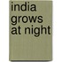 India Grows at Night