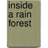 Inside a Rain Forest