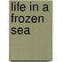 Life in a Frozen Sea