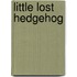Little Lost Hedgehog