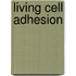 Living Cell Adhesion
