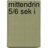 Mittendrin 5/6 Sek I door Esther Hardebusch