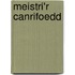 Meistri'r Canrifoedd