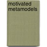 Motivated Metamodels door Paul K. Davis