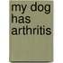 My Dog Has Arthritis