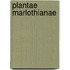 Plantae Marlothianae