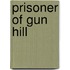Prisoner of Gun Hill