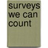 Surveys We Can Count