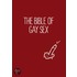 The Bible of Gay Sex