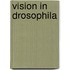 Vision in Drosophila