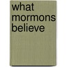 What Mormons Believe door Robert M. Bowman