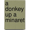 A Donkey Up A Minaret by Terry White