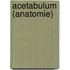 Acetabulum (Anatomie)
