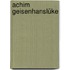 Achim Geisenhanslüke