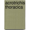 Acrotrichis thoracica door Jesse Russell