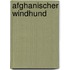 Afghanischer Windhund