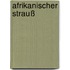 Afrikanischer Strauß