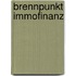 Brennpunkt Immofinanz