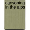 Canyoning in the Alps door Simon Flower