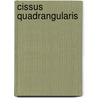 Cissus Quadrangularis door Binod Raulo