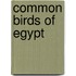 Common Birds of Egypt