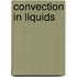 Convection in Liquids