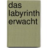 Das Labyrinth erwacht door Rainer Wekwerth