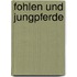 Fohlen und Jungpferde