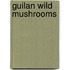 Guilan Wild Mushrooms