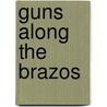 Guns Along the Brazos door Owen G. Irons