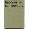 Hebrews: A Commentary door Luke Timothy Johnson