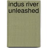 Indus River Unleashed by Somana Riaz