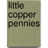 Little Copper Pennies