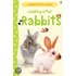 Looking After Rabbits