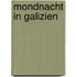 Mondnacht in Galizien