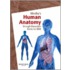 Mosby's Human Anatomy