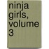 Ninja Girls, Volume 3
