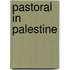 Pastoral in Palestine