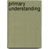 Primary Understanding