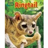 Ringtail: Miner's Cat door Joyce L. Markovics