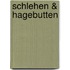 Schlehen & Hagebutten