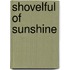 Shovelful of Sunshine