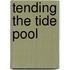 Tending the Tide Pool